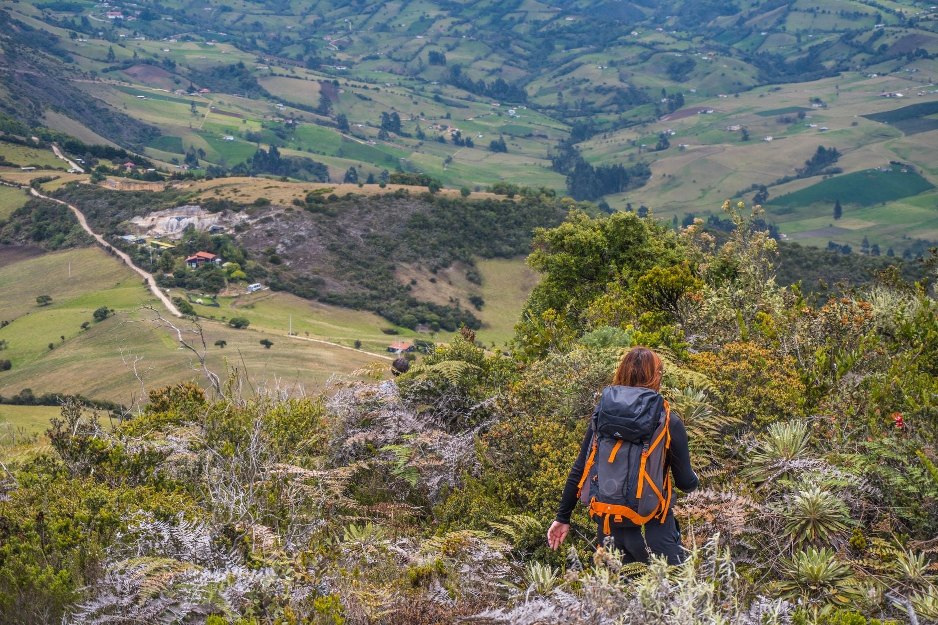 Woman hiking with a backpack on a summer trail