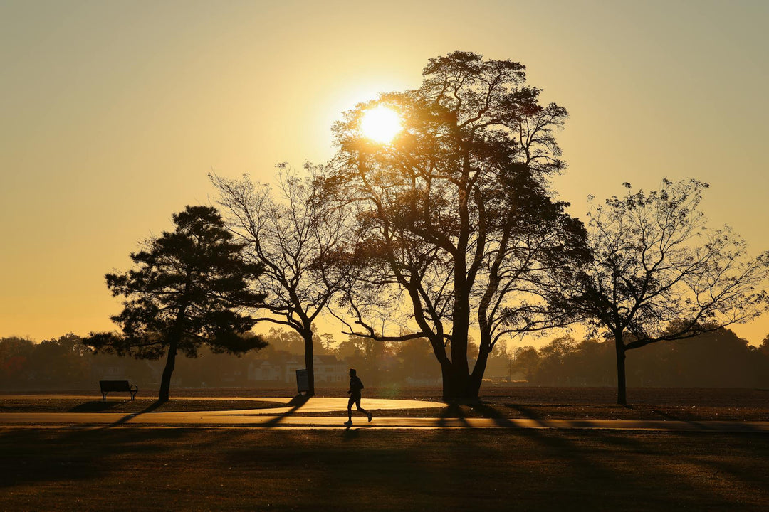 A solitary runner enjoys a tranquil morning jog in Cove Island Park, Stamford, Connecticut at sunrise.