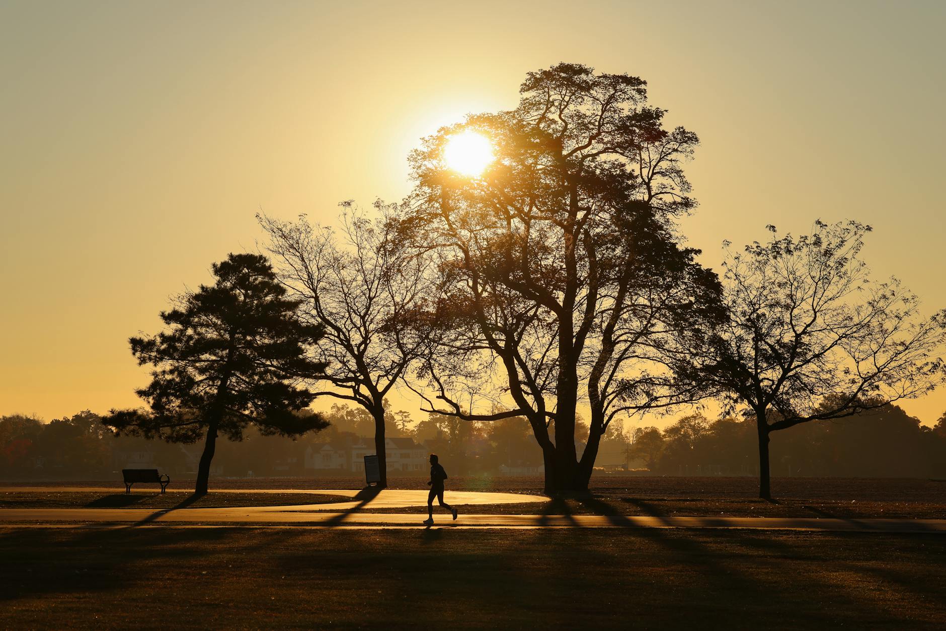 A solitary runner enjoys a tranquil morning jog in Cove Island Park, Stamford, Connecticut at sunrise.