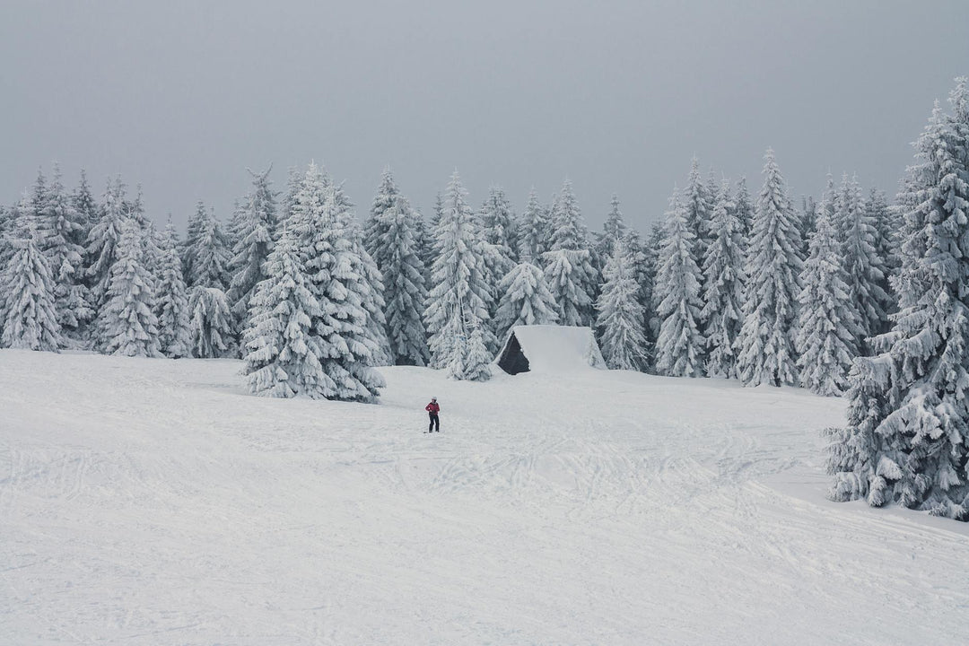 Lone skier in a serene snow-covered forest with frosted pines.