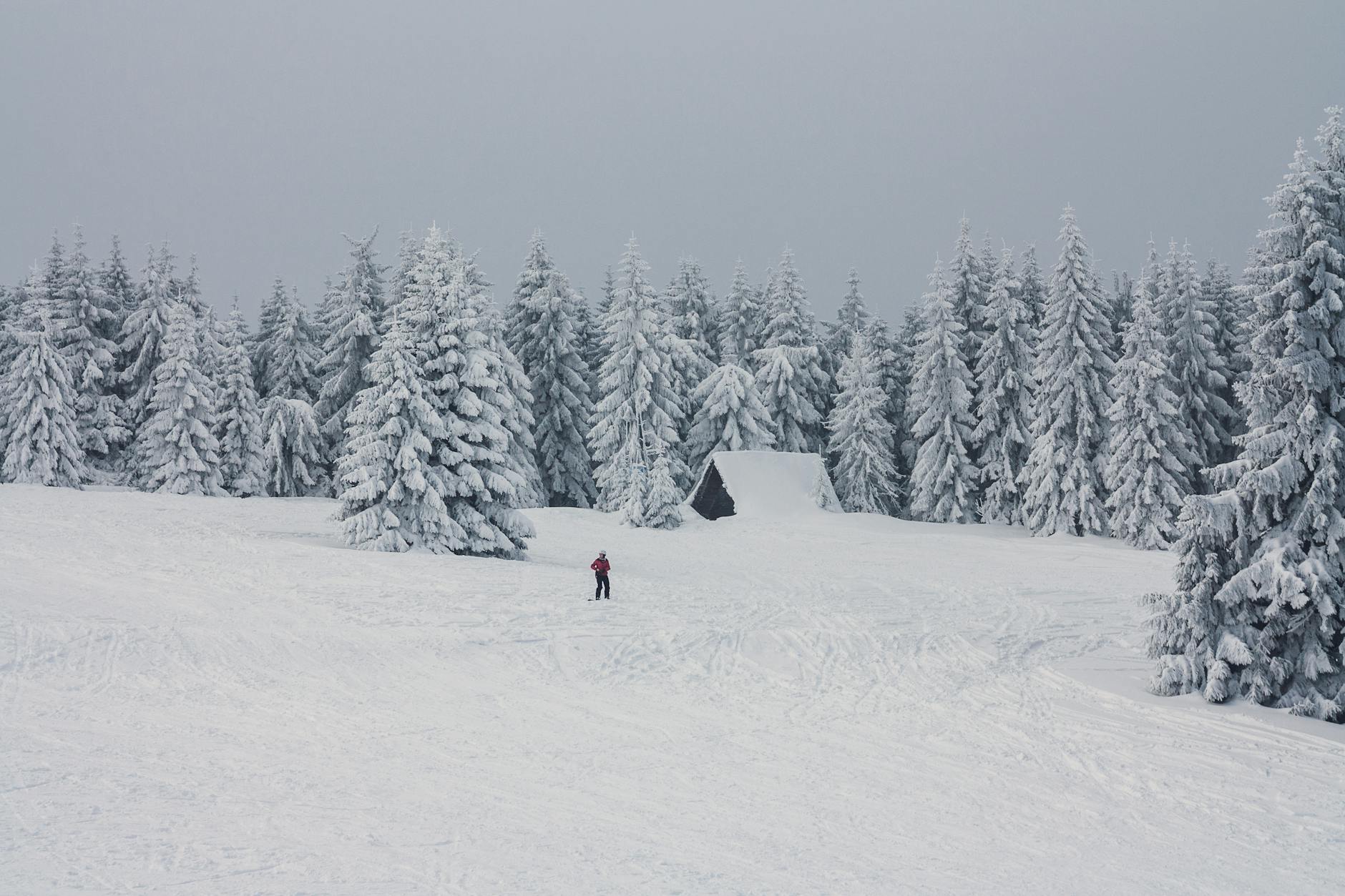 Lone skier in a serene snow-covered forest with frosted pines.