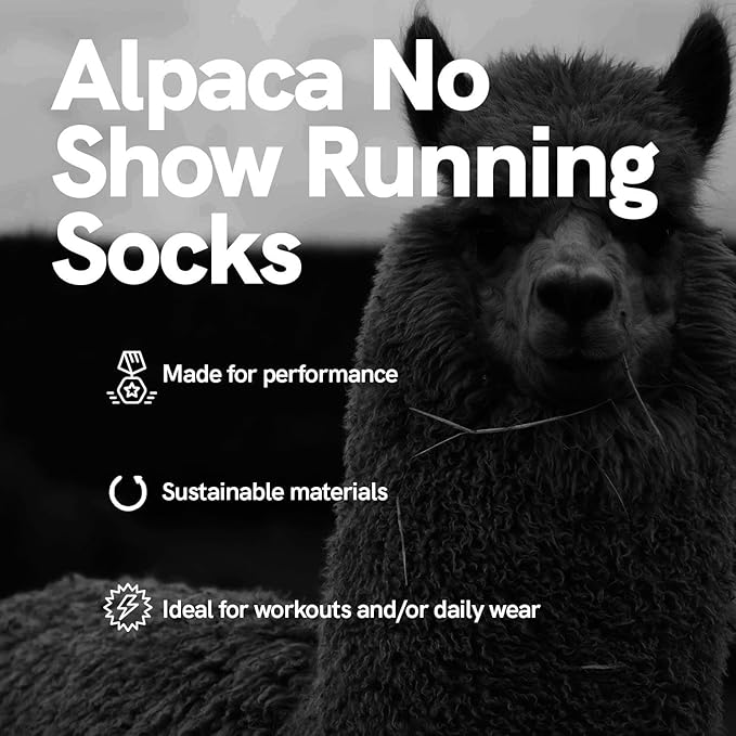 Pure Athlete Alpaca Wool No Show Running Socks
