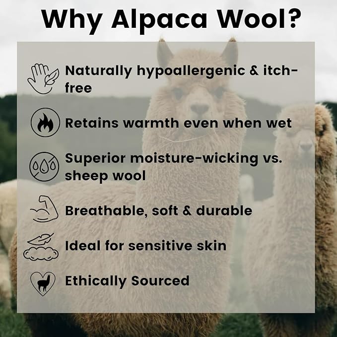 Alpaca Wool Mini-Crew Running Socks